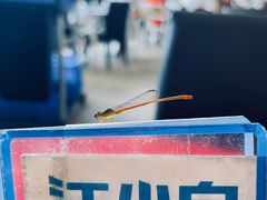 -南沙十九涌渔人码头-南门