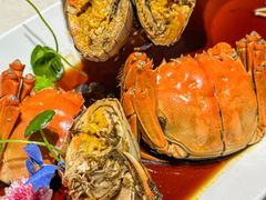 -杨氏青龙虾·羊蝎子(金盛路总店)