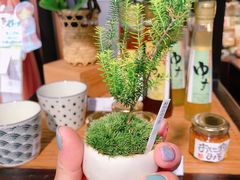 -中部国际机场