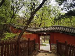 -阳台山自然风景区