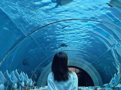 包房-海棠湾洲际-涛·海底餐厅·美人鱼·自助餐·海底隧道
