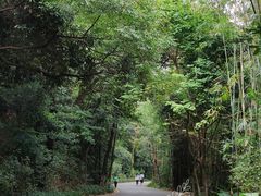 -广州市白云山风景名胜区