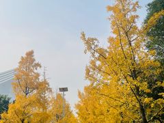 -丁先生蛋糕·品质鲜作(桐梓林店)