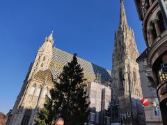 -斯蒂芬主教座堂(Stephansdom)