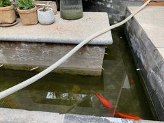 -至尚形象·化妆服饰搭配礼仪培训