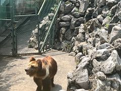 -成都动物园