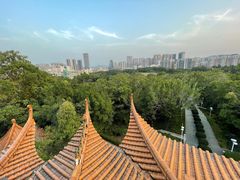 -深圳龙潭公园
