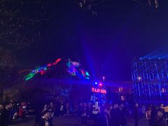 -锦江乐园舞狸花花游园会(夜场专享)