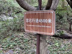 -双龙峡