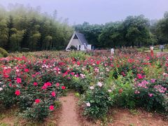 -宜兴龙背山森林公园
