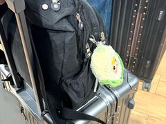 -青岛胶东国际机场