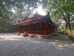 -北京动物园-畅观楼