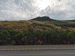 -长江澳风力发电景观区