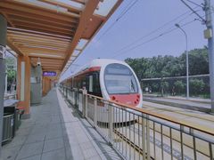 -国家植物园南园