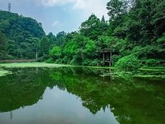 -都江堰普照寺