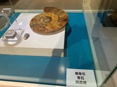 -青岛贝壳博物馆