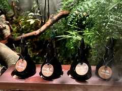 -森SPA·泰式按摩·精油Massage(宝安中心店)