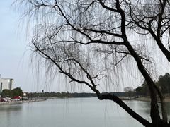 -美兰湖景区