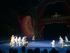 -珠海横琴长隆《卡卡虎奇遇记》