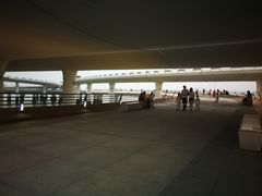 -演武大桥观景平台