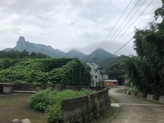 -花岙岛