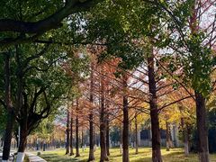 -东钱湖旅游度假区