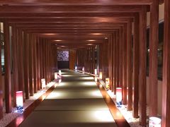 -重庆南山海昌汤都