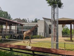 -石家庄市动物园