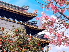 -宝墨园景区