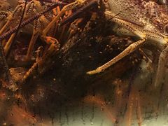 -白金汉爵大酒店(相城店)