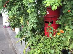 -小时光咖啡馆(北锣鼓巷店)