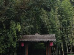 -新荣记(西溪湿地店)