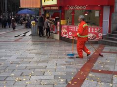 -张鸭子重庆特产卤味小吃(凯瑞店)