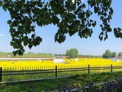 -天津武清北运河郊野公园房车露营地