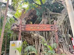 -龙达温泉生态城