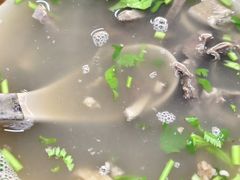-昌顺马记小吃店(昌盛园店)