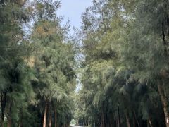 -漩门湾国家湿地公园