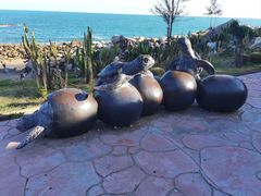 -广东惠东海龟国家级自然保护区