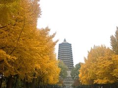 -玲珑塔公园