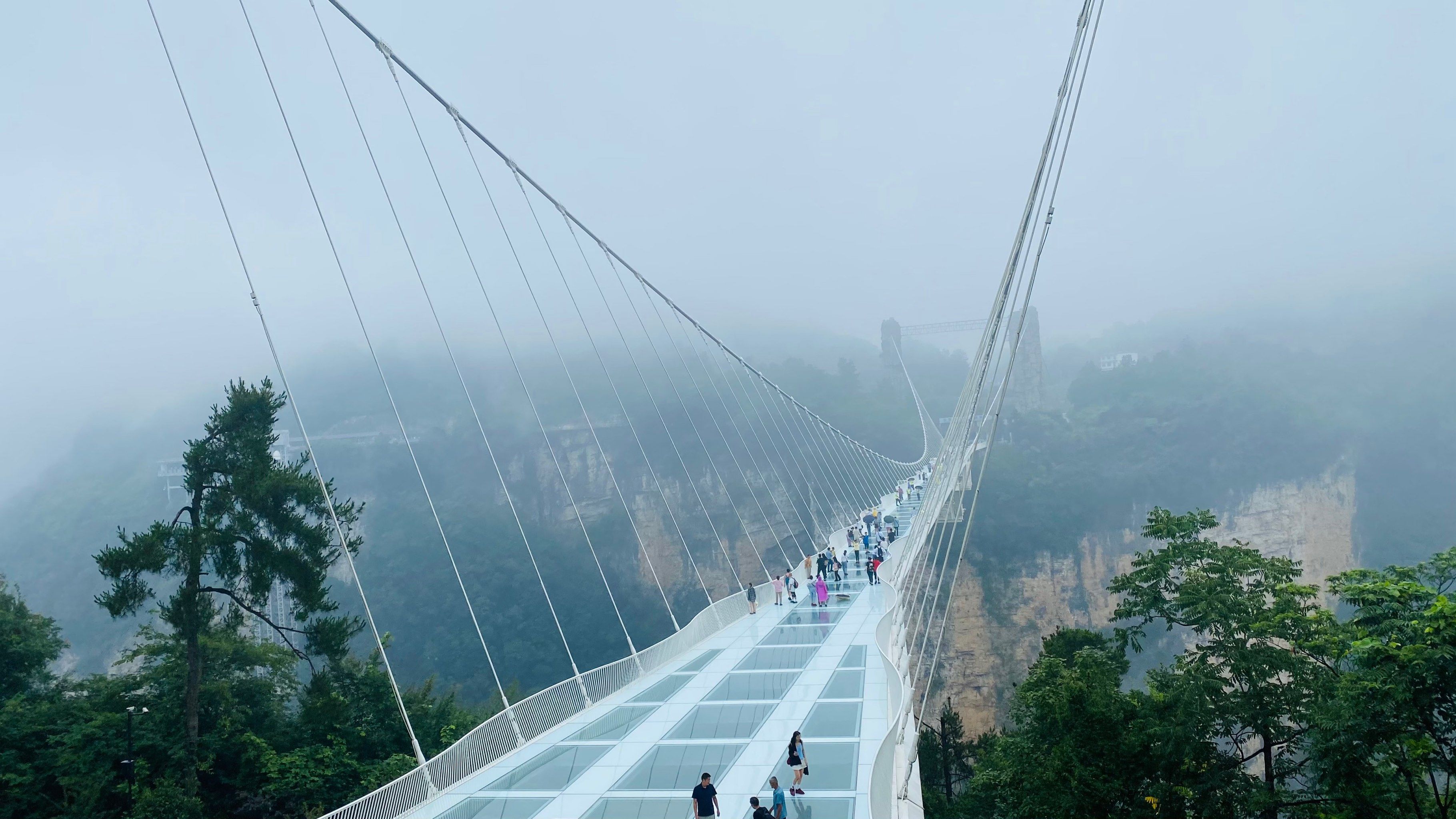 玻璃桥美景 #峡天下玻璃桥