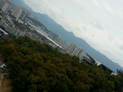 -金鸡山公园