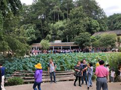 -韶山毛泽东同志故居