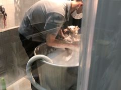 -PETKIT 小佩宠物·低压洗护·美容·寄养(安远店)