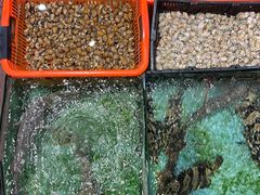 -天天海鲜城·海鲜大排档(新溪店)
