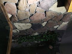 -渝大狮毛肚老火锅(普陀店)