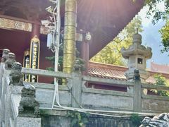 -深圳仙湖植物园