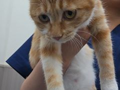 -佑安动物医院·全科·内窥镜中心(幸福巷店)