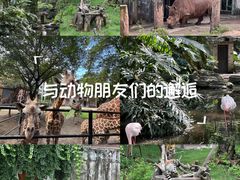 -南昌动物园
