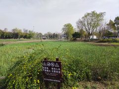 -金银湖国家城市湿地公园