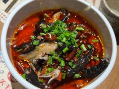 -酒肆浅葱•烧烤•龙虾•排档(卓悦intown店)
